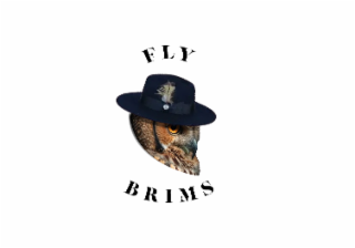 FLY BRIMS logo