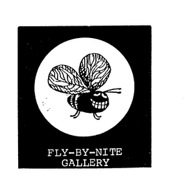 FLY-BY-NITE GALLERY logo