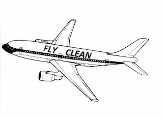 FLY CLEAN logo