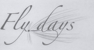 FLY DAYS logo