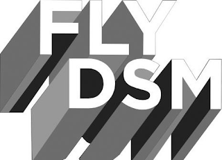 FLY DSM logo
