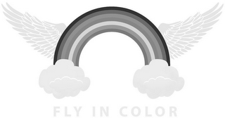 FLY IN COLOR logo