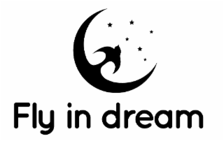 FLY IN DREAM