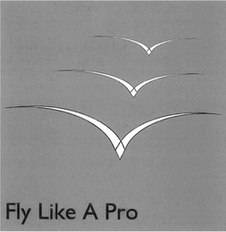 FLY LIKE A PRO logo