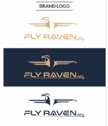 FLY RAVEN JET logo