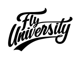 FLY UNIVERSITY logo