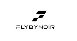 FLYBYNOIR logo