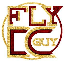 FLYGUYDC logo