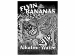 FLYIN BANANAS 9.5 PH+ ALKALINE WATER logo