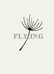 FLY.ING logo