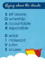 FLYING ABOVE THE CLOUDS SELF AWARE OWNERSHIP ACCOUNTABLE RESPONSIBLE DENIAL INTOLERANT VICTIM EXCUSES SOAR DIVE logo