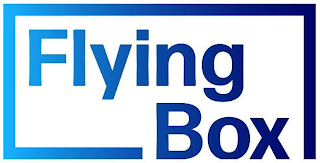 FLYING BOX logo