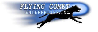 FLYING COMET ENTERPRISES, INC. logo
