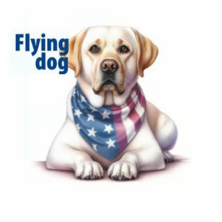 FLYING DOG logo