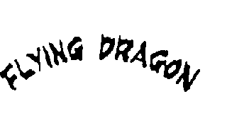 FLYING DRAGON logo