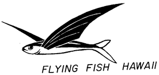 FLYING FISH HAWAII logo