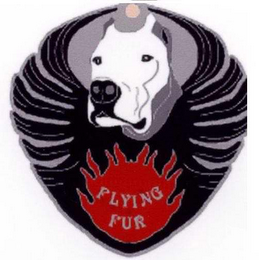 FLYING FUR logo