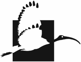 FLYING IBIS MARKETING logo