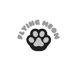 FLYING MEOW logo
