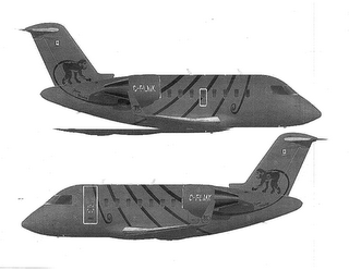 FLYING MONKEY C-FLMK logo