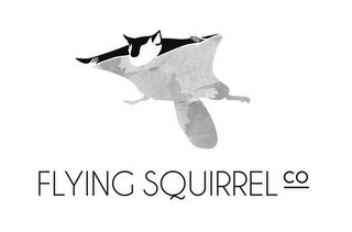 FLYING SQUIRREL CO logo