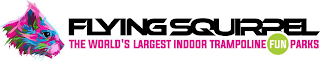 FLYING SQUIRREL THE WORLD'S LARGEST INDOOR TRAMPOLINE FUN PARKS logo