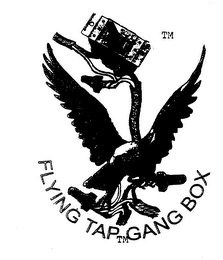 FLYING TAP GANG BOX logo