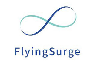 FLYINGSURGE logo