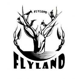 FLYLAND FLYLAND logo