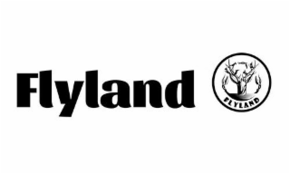 FLYLAND FLYLAND logo