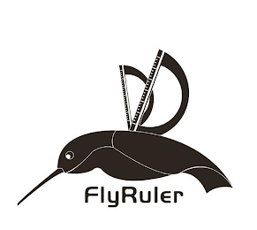FLYRULER logo