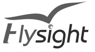 FLYSIGHT logo