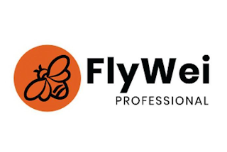 FLYWEI PROFESSIONAL logo