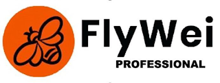 FLYWEI PROFESSIONAL logo