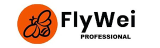 FLYWEI PROFESSIONAL logo