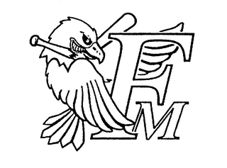 FM