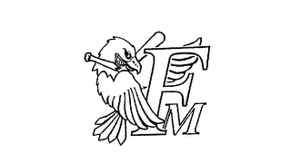 FM