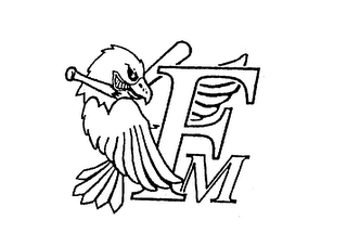 FM logo