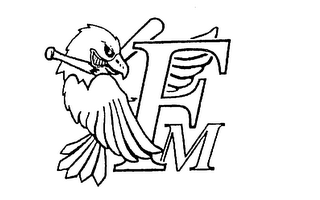 FM logo