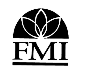 FMI logo