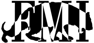 FMI logo