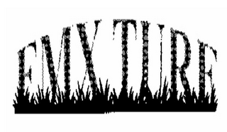 FMX TURF logo