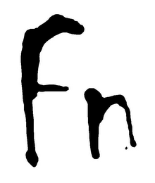 FN logo