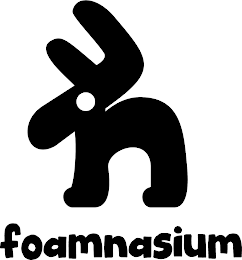 FN FOAMNASIUM logo