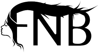 FNB logo