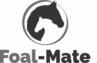 FOAL-MATE logo