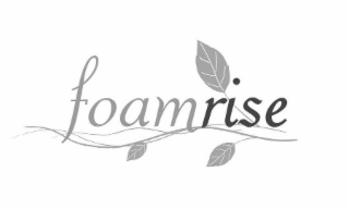 FOAMRISE logo