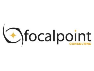 FOCALPOINT CONSULTING logo