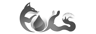 FOCS logo