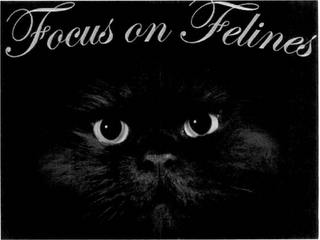 FOCUS ON FELINES logo